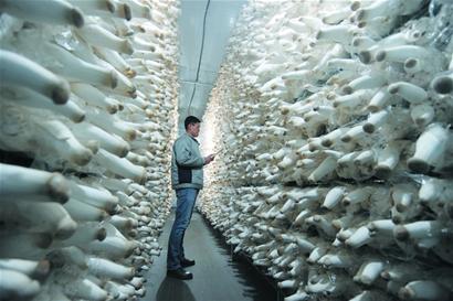 �������ൺʳ�þ�֮�� ����ȫ������