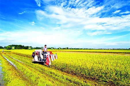 ����Ч��̬���е��� �㽭��벢������ũҵ�ִ���