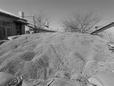 ������ʡ�����ж�ʤ�綫��������ļ�û����ȥ�Ĵ󶹡�