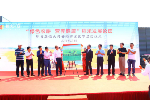   ���α��ֳ���Ӱ����