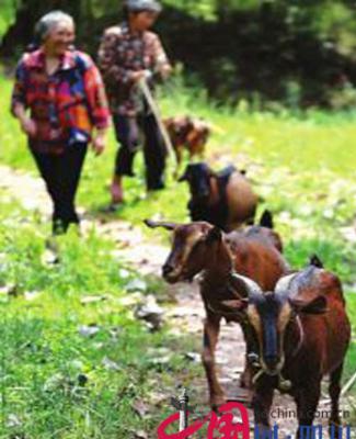 һͷͷ��������׳��ɽ�������еؾ׽������