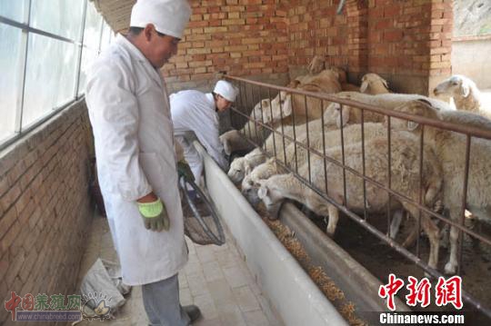 ���������л���ɽ����Ѧܫ�����ѧ�����������䷽������ȫ��ʵ����������ƶ��