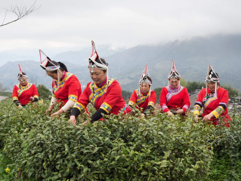 3��21�գ��㽭ʡ������������ػ����´���л����迪����ʽ������ʢװ���������ڲ�ժ�²衣