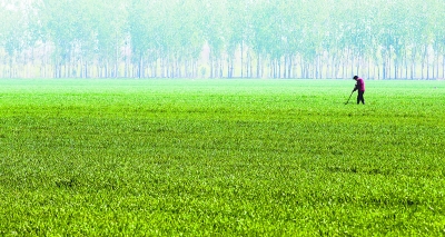 ���������أ��������ֳɡ����ۡ�����