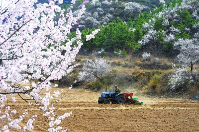 ������ʮ����Ķ����½���Ĳ��� ����������ѧ�ֲ�