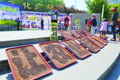 ���չ̨ǰ������ũҵ���ࡣ