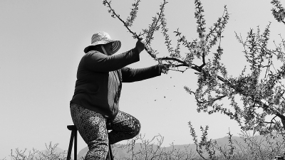 ����ƽ������ũ�軨�Ρ��������ҡ�