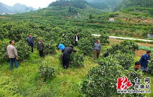 ���ϱ����ȶ���������ǧĶ��Ʒʾ����԰