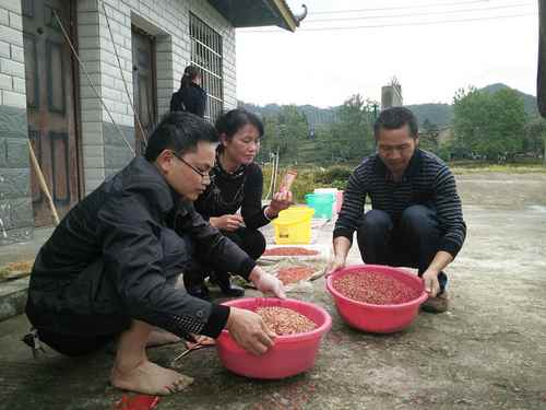 ����ͨ��ɸѡˮ����Ʒ�� Ϊ��ϻ�������׼��