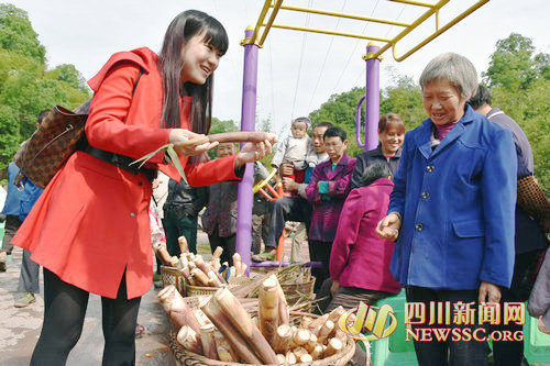 �Ĵ����������أ��������ũ����