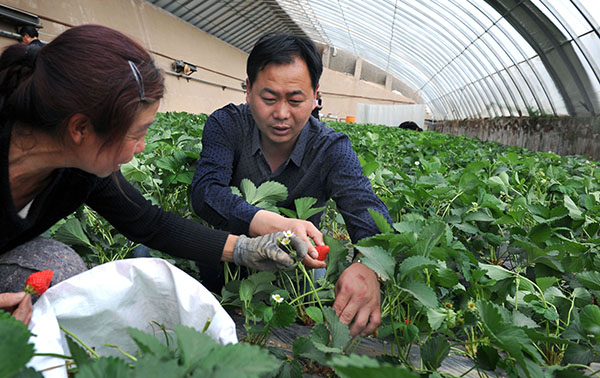 4��24�գ����ྮ��ί��ǰ���ϲ���ң���ũ���������˽��ݮ��ֲ�����