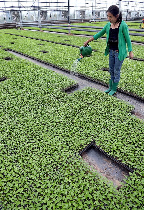 4��24�գ���������߲�רҵ������Ĺ�����Ա��Ϊ���粹ˮ��