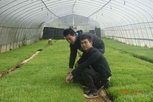 �����»��ش���������չ�죬Ч����