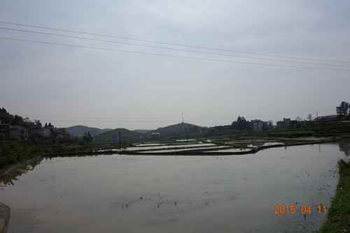 ͼ3��ʯ�����������巭����ũ��