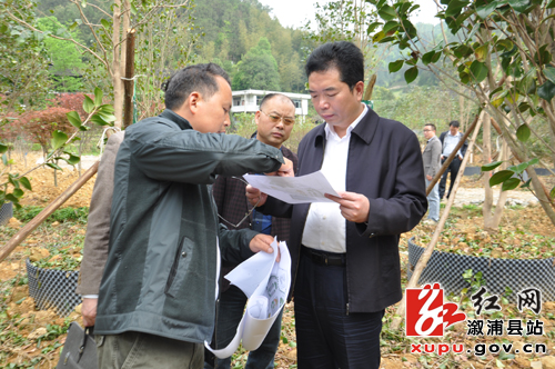 �˽���ľ���ط�չ�滮