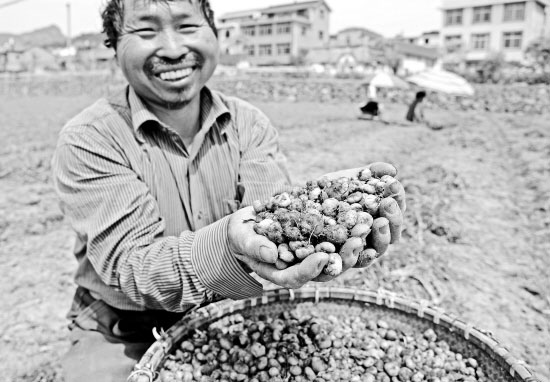 �㽭�𻪣�Ԫ������������� �����½���ټ۸񷴵�