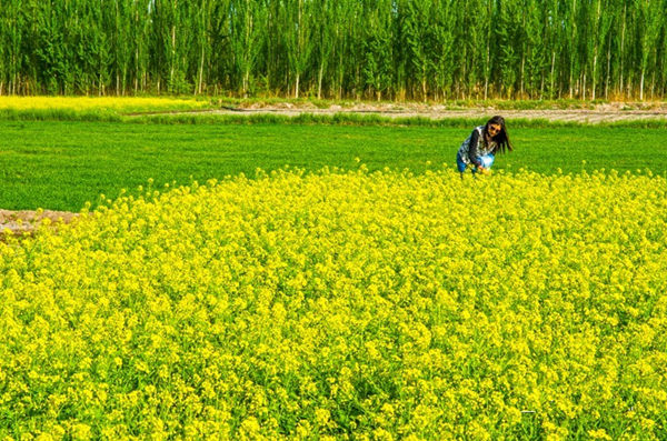 �½������أ��Ͳ˻��� ��Ʊ�Ұ