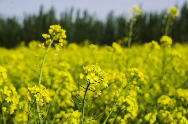 �½������أ��Ͳ˻��� ��Ʊ�Ұ2