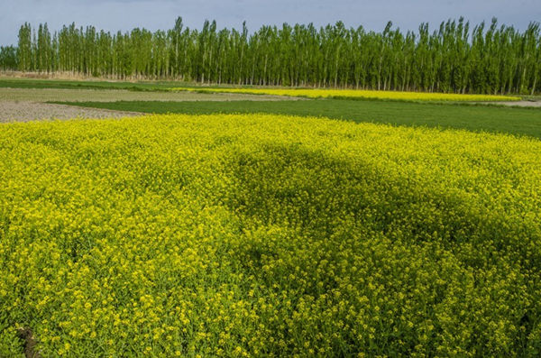 �½������أ��Ͳ˻��� ��Ʊ�Ұ3