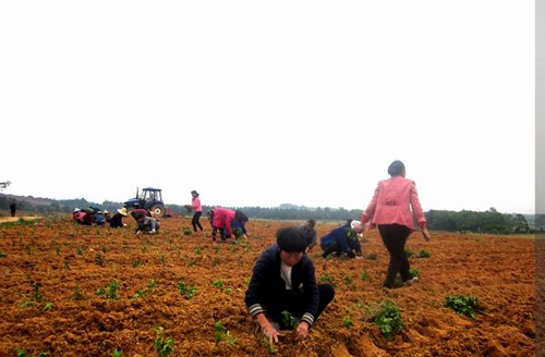 ������Ϫ�����þջ�������ֲæ