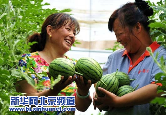 �����Ӹ�ׯ��΢���ϡ�����