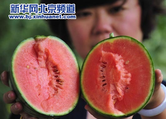 4��30�գ����������Ӹ�ׯ��κ̸�ũũ��Ʒ����רҵ������Ĺ�����Աչʾ����ġ�΢���ϡ���