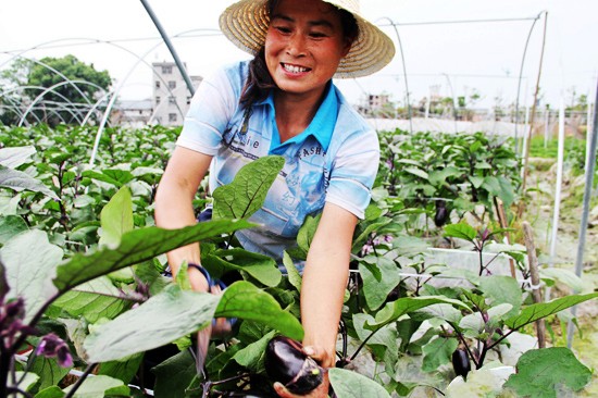 �����촨�����߲������¸�