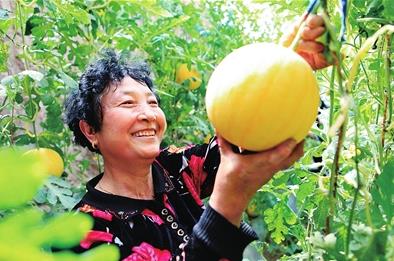 ������������������̫�����������¸�·