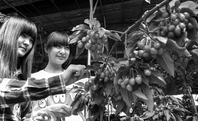 ��������������ӣ������