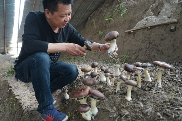 �½����º������ִ���ǹ�ϲ��ɹ�