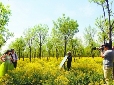 ����ͨ���������Խ�