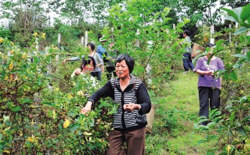 �Ĵ��ڽ��������ժ�� ����������ţ�Ŵ�����¸�·