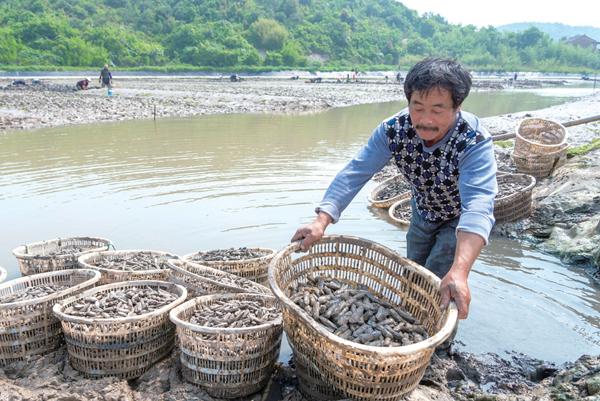 �㽭����зǯ�����ӷ���ַ���