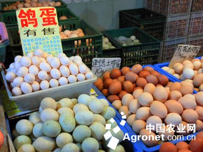 �㽭�����ݵ��г�ı��ת�� ��ֳ����·���