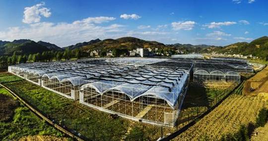 ���ݴ��ش�Ϫ��������ǿ�����ӹ���