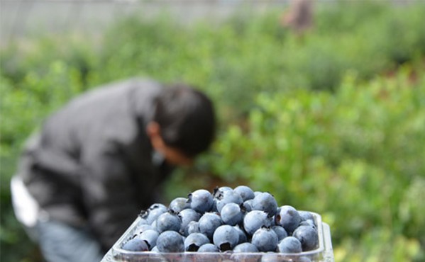 �Ĵ����ݽ���������ݮϲ����� ����ϲЦ�տ�