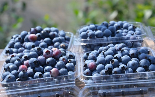 �Ĵ����ݽ���������ݮϲ����� ����ϲЦ�տ�2