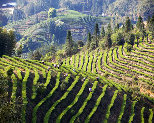 ������Ϫ��������С��������Ϫ��