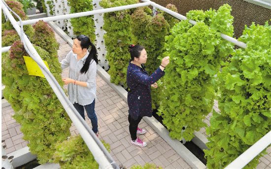 �㽭���ݣ���ˮ������ֲũҵ