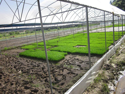 ����̩�����������������������������