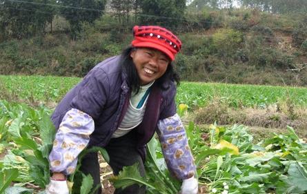 �Ĵ��Ͻ��أ���ũ����������