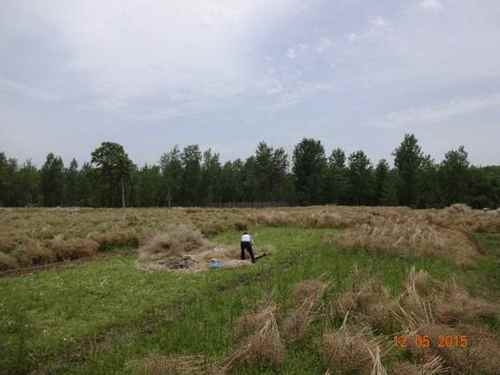 �����з�ͩľ������Ͳ˷������