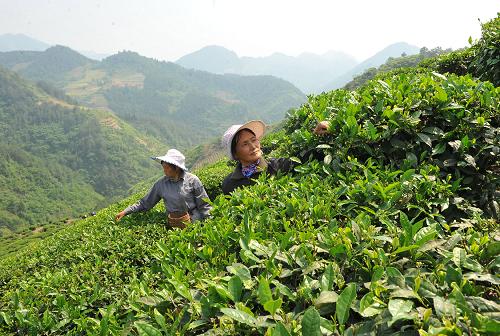 ������ǿ�����ļ��̲�