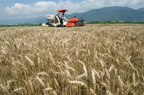 �㽭������¹����լ�壺���������ˡ�