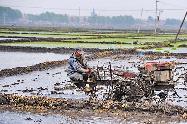 ���֣�Ʒ�ƽ����á��������ס�������