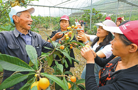 �������˳�������ǰ7�� �㽭��ɽ�������˽�������Ļ