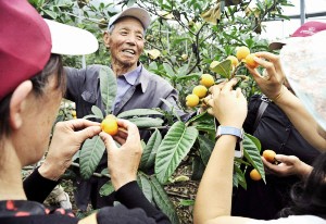 ��֦�����˷׷����� �㽭�������н��롰����ʱ��