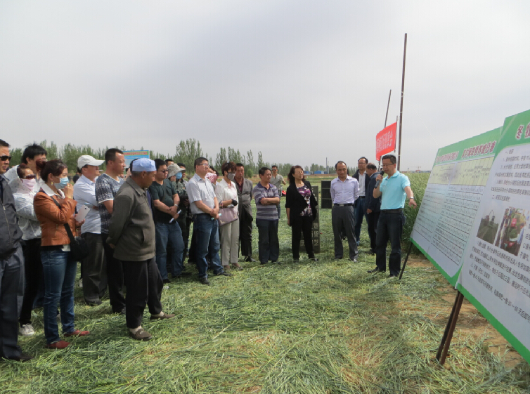 ����������ͨ���ٿ��Ĳ������߶�������ֲ��Ħ��2