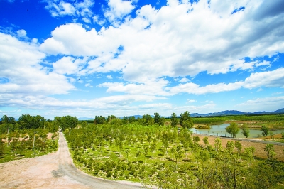 ���������˷ŷ���ɫ����