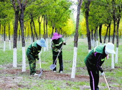 ��������ɭ�ָ����ʴﵽ74.5%